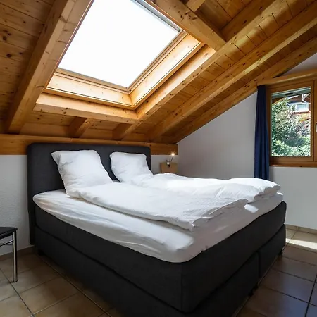 Apartment Penthouse Brugg *